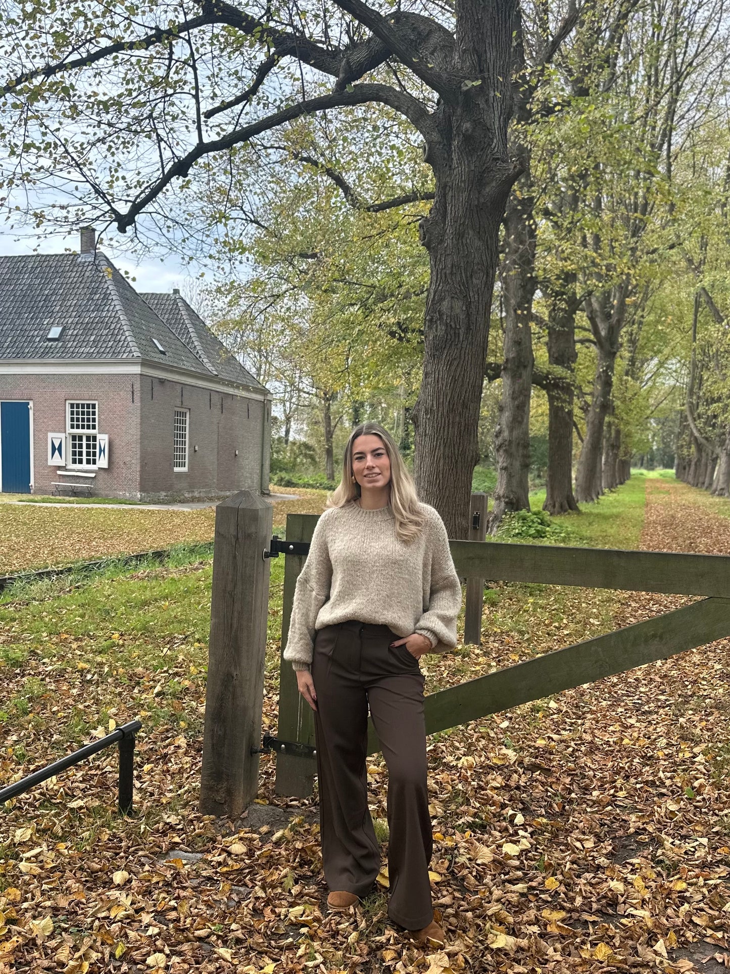 Studio Wide Leg Pantalon - Brown